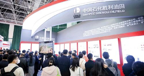 2024中國油氣開發技術年會 聚焦提質增效，共繪能源新藍圖